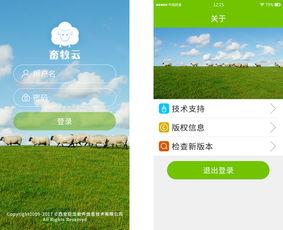 從巨龍軟件到奧龍信息 西安信息技術(shù)企業(yè)的發(fā)展軌跡